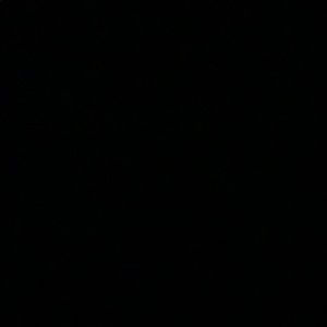 Meet your Posher, Isabella